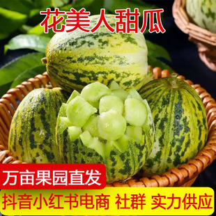 �a��ֱ�l�������۹���Ϯ������r�Fժ������������ˮ��һ�����l