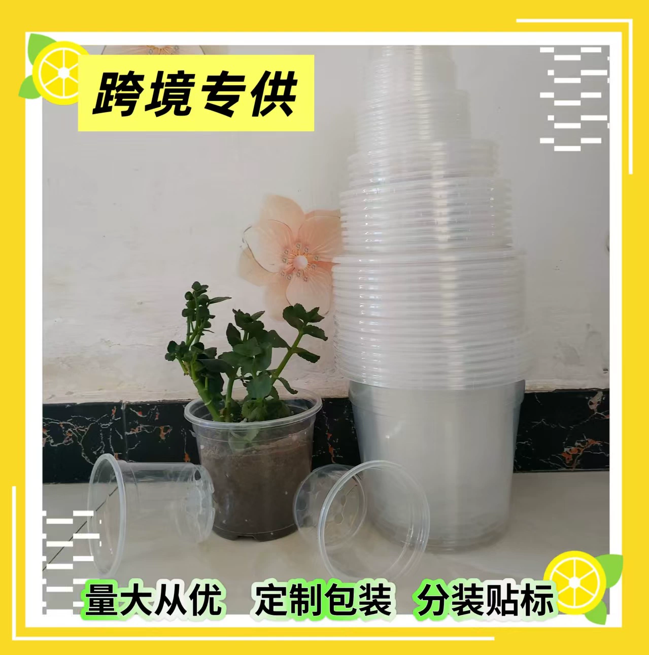 Трансграничные поставки прозрачных пластиковых горшков для выращивания рассады, пластиковых горшков для рассады, прозрачных цветочных горшков, прямая поставка с завода.