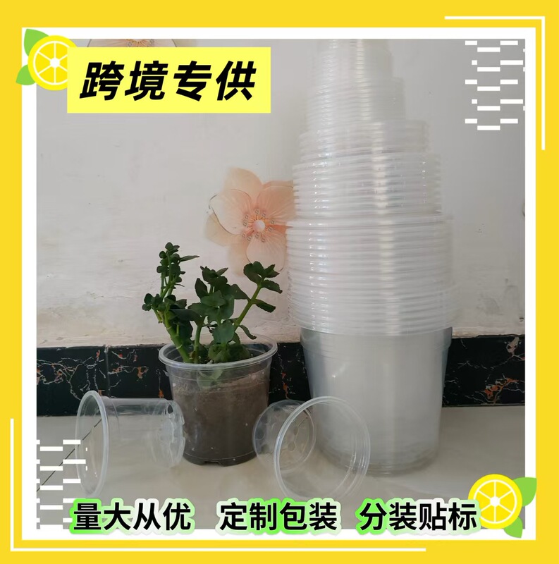 Cross-Border Supply of Transparent Plastic Flower Pots for Seedling Cultivation, Plastic Flower Pots for Seedling Cultivation, Transparent Flower Pots, Direct Delivery from the Factory