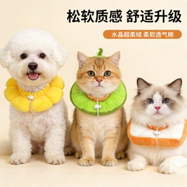 猫猫玩具;猫抓板;宠物项圈