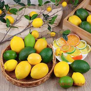 High Lemon Model Fake Fruit Green Lemon Yellow Lemon Early Education Props Decorative Foam Fruit and Vegetable Toys