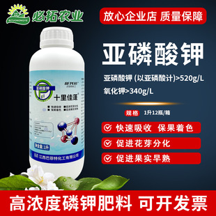 �ͷ���ʮ�������������Dɫ��ɫ���M��ѿ�ֻ����������