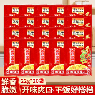 �������ե��о22g�����_����ʳ�嵭����_θ�̲������������