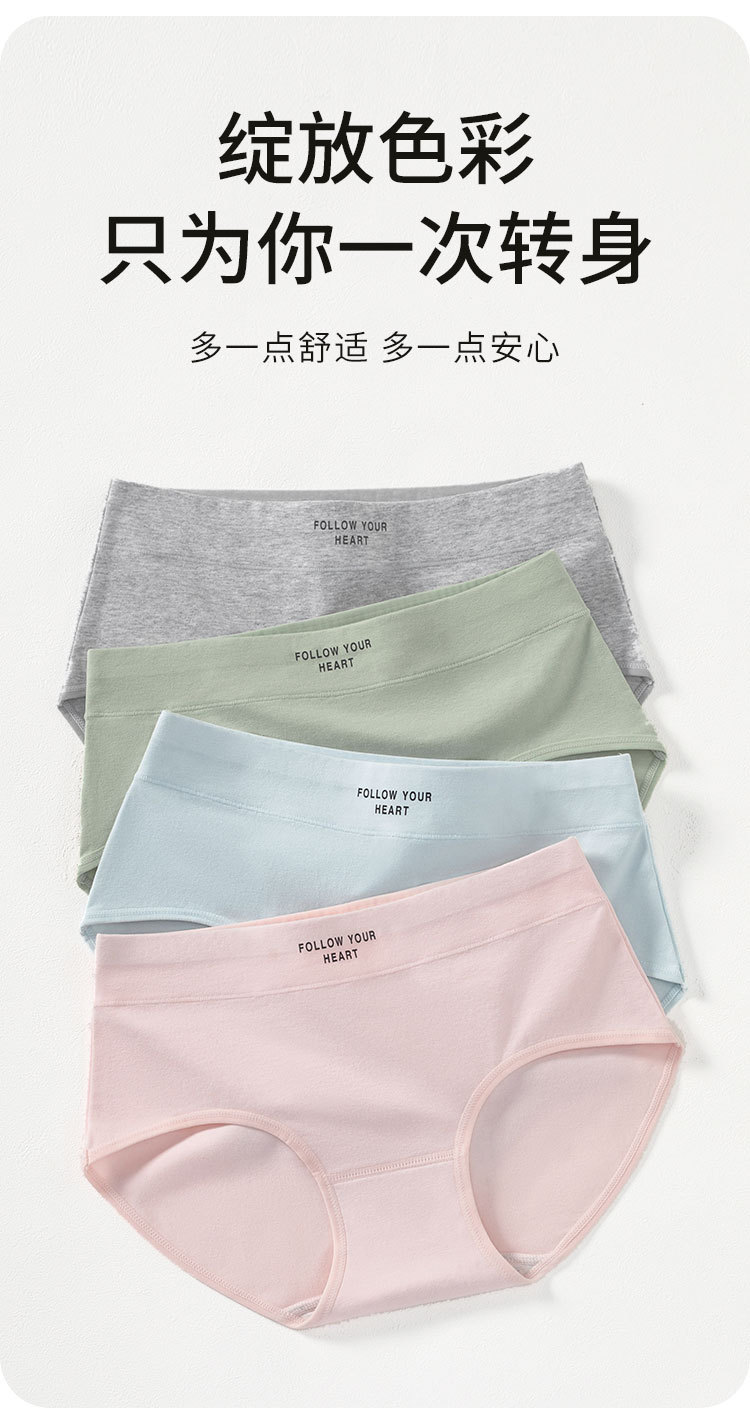 1543详情_09.jpg