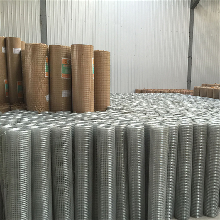 厂家直销 热镀锌电焊网 改拔丝电焊网 墙体保温网 防鼠网 养殖网