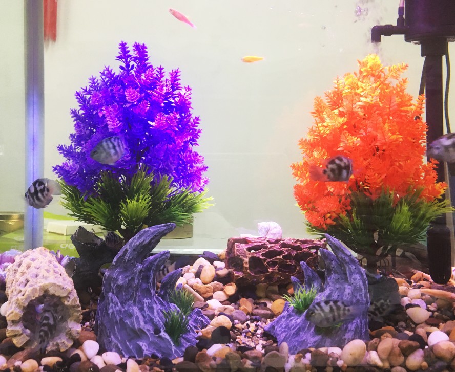 微信图片_20220727101324