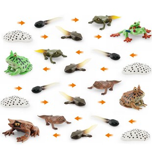 �羳����t���ܽ������ǿ��~�ܳ��L����ģ��������L�^���o�B�[��