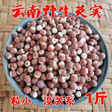 ���x���Ұ���͌�ʳ���׸�؛�A���u�^�ןo���ɴ������߳ඹ޲��