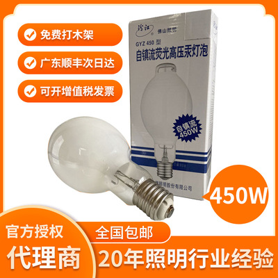 佛山照明自镇流灯泡荧光高压汞灯泡水银自汞灯泡GYZ450WE40汾江牌|ms