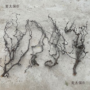 �ɘ�֦��ͥ�b� һ��һ�� ������[���廨��֦ɽˮ���Ϳ͏d��̫��