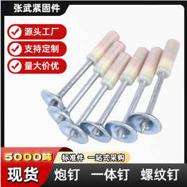 跨境厂家现货迷你炮钉枪专用炮钉子圆片消防钉迷你炮钉一体钉枪钉