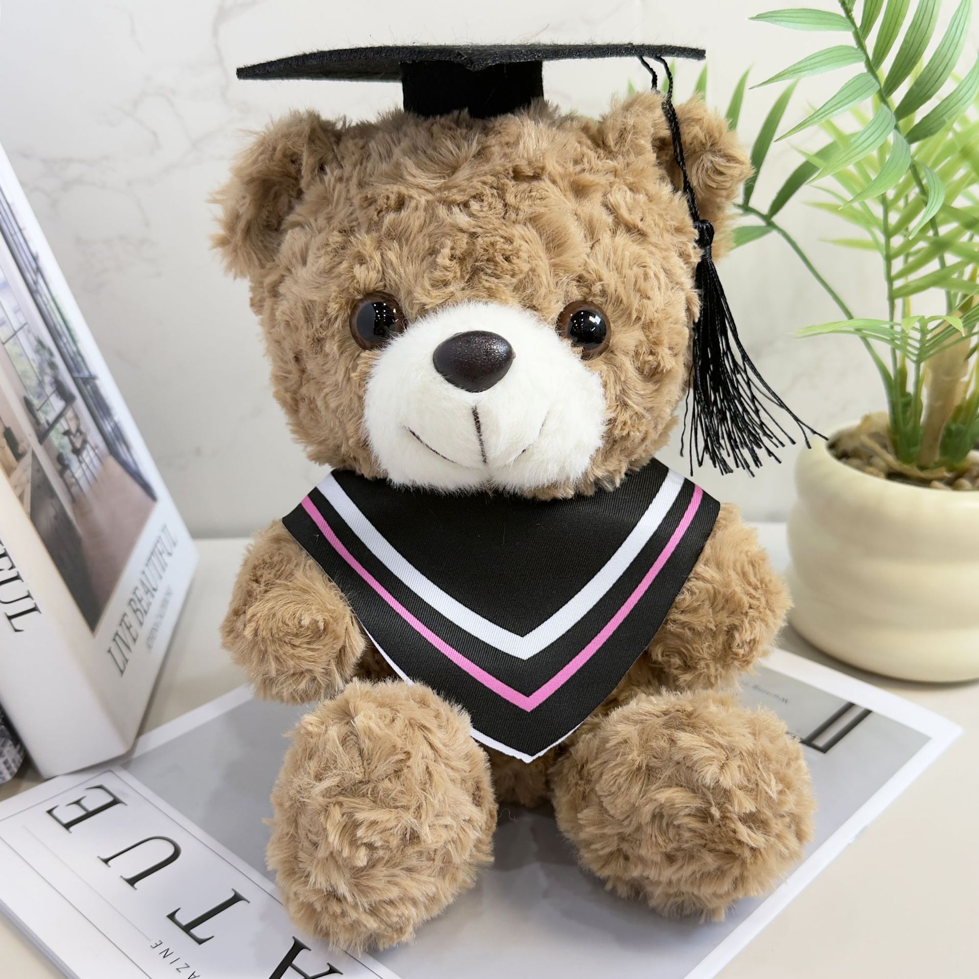 Doctor sombrero oso Teddy Teddy