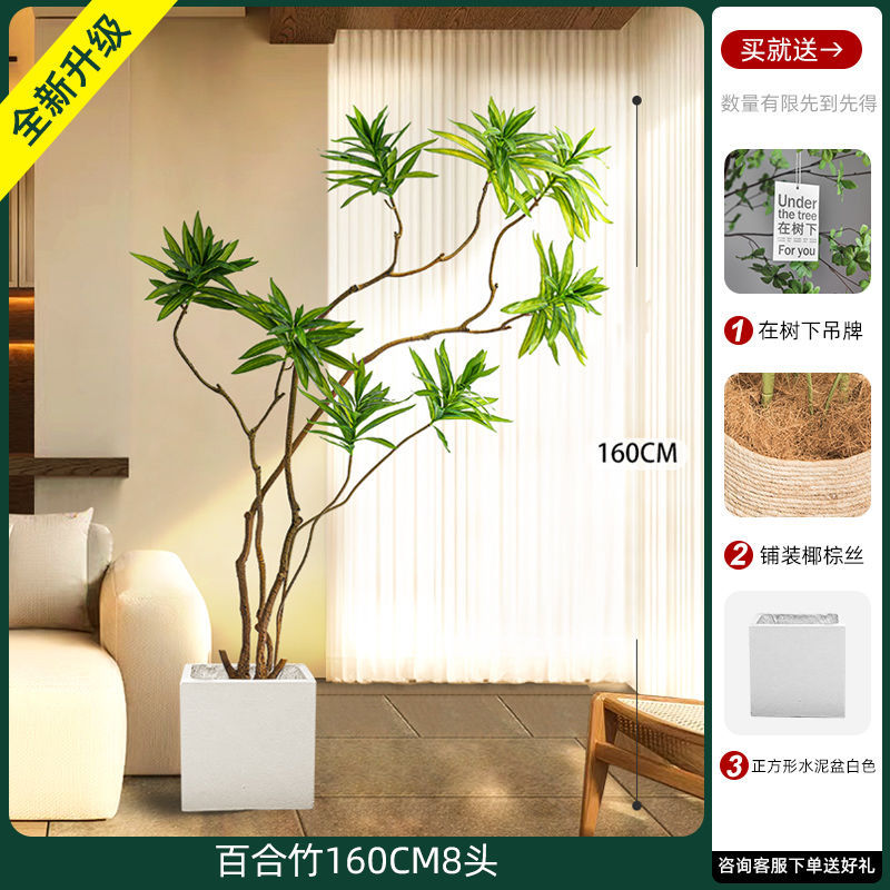[W Ruyi Bamboo] Chậu vuông đầu 160CM8