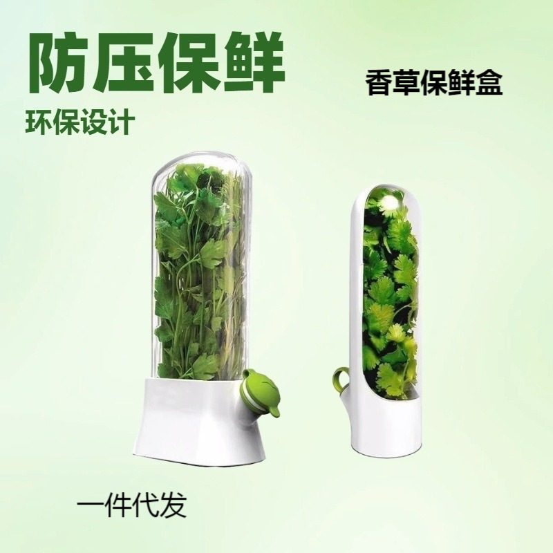 Caja de preservación de vegetales de vainilla transfronteriza anti-compresión preservación creativa cilantro preservación de tazas fabricantes al por mayor hechos en casa