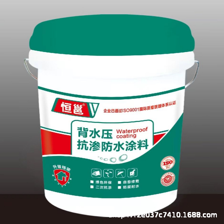 广西厂家供应RG防水涂料背水压除抗渗防水材料屋面墙体桥梁公路