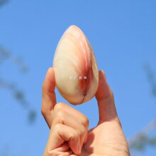 �۸��ؐ����Ȼؐ�����ݺ����p�������������Y��Ҿӹ�ˇƷ�[��