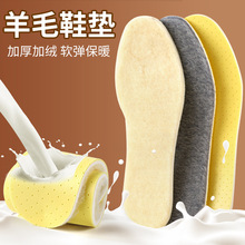 乳胶羊羔绒运动透气舒适加厚吸汗棉垫超软弹冬季羊毛保暖加绒鞋垫