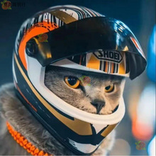 宠物头盔猫猫小型犬迷你版小头盔公仔玩偶机车熊头盔搞笑