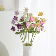 ֹhëһƷRɫСb[ᘿYƷ