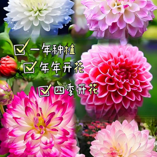 �ذ�������N��С�����N�Ѷ������޸��ļ����N��Ʒ�N�׳ɻ������