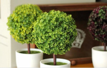 仿真盆景盆栽套装组合仿真花装饰品摆放花艺茶几桌面搁板田园礼品