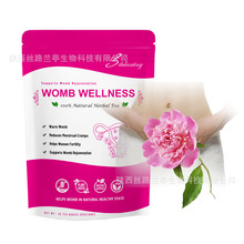 工厂批发泡袋茶 女性茶 花茶 women tea健康 桂圆红枣生姜枸杞茶