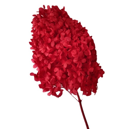 Single wooden hydrangea Nordic style home decoration Yunnan eternal flower dried flower bouquet wedding arrangement hydrangea flower material