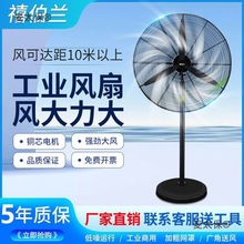 �����m���I�L����L�ȏ��������ţ�Ǵ��ʳ���ȩ���S�ڒ���̫��