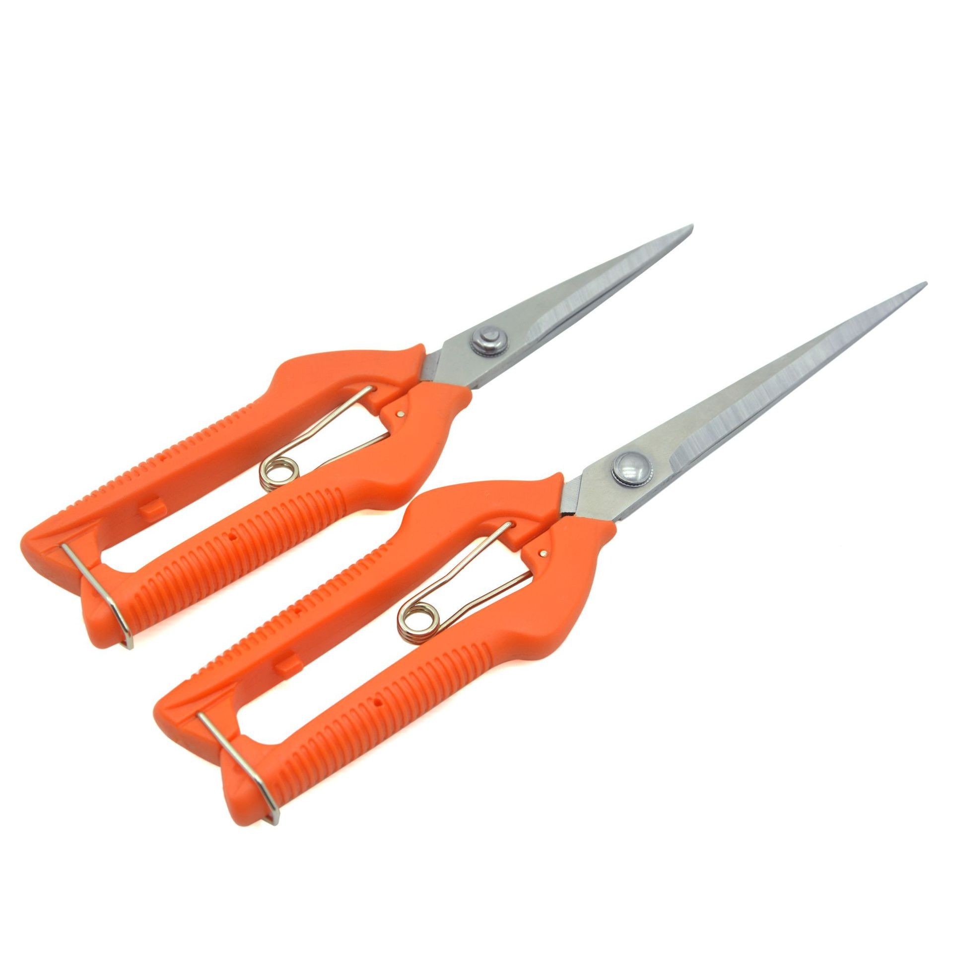 加长采果剪摘果剪245毫米黑枸杞花椒花枝剪 园艺剪刀