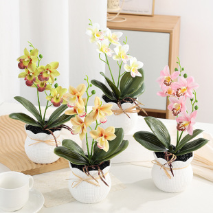 ������滨С�A�������zƬ�����m�辰�����҃�С�[������ֲ������