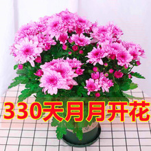 �������ذ���m�����Ծջ������҃Ȼ���ֲ����B�ļ��_���͏dͥԺ