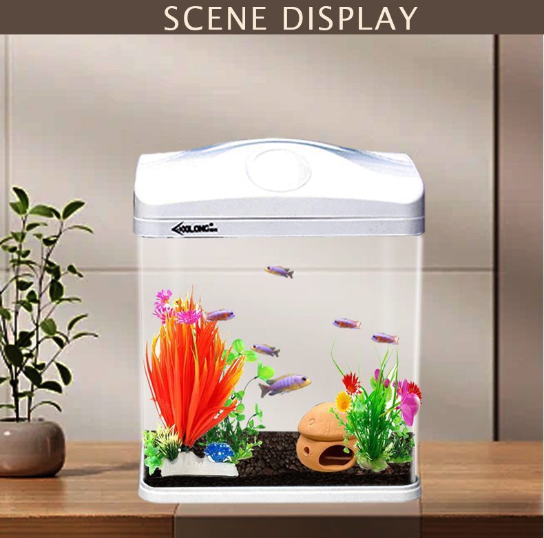 91a91809-6b83-4baa-b951-c8397b21bd8f.jpe