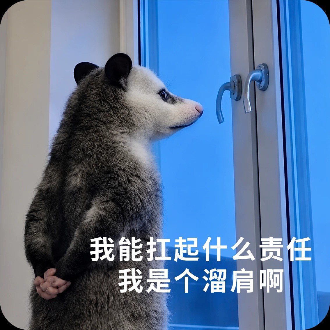 负鼠表情包冰箱贴亚克力装饰磁贴搞笑抽象打工人送朋友