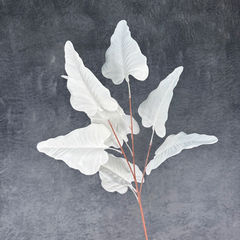 White Tabi