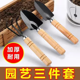 清洁球/刷;厨房小工具;衣钩/挂钩