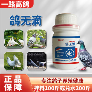 Pigeon No-Drop 100g Pigeon Breeding Issue: Reduced Food Intake, Oral Mucus, Loose Feathers, White Spots in the Throat, and Weight Loss