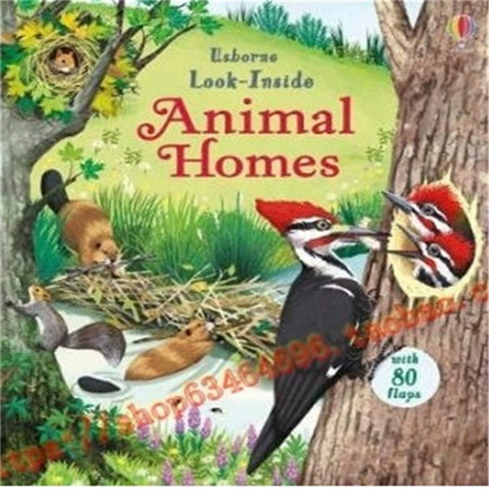 Usborne тайно заглядывает в популярную серию научных иллюстраций картона, посмотрите внутрь/увидеть внутри