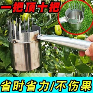 New picking wild jujube artifact rolled wild jujube special tools picking fruit mountain jujube bayberry mountain picking thickened jujube collector