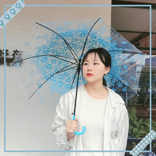 Transparent Umbrella Cherry Blossom Umbrella Long Handle Transparent Girl Goddess South Korea Retro Candy Color Fresh Apollo Princess