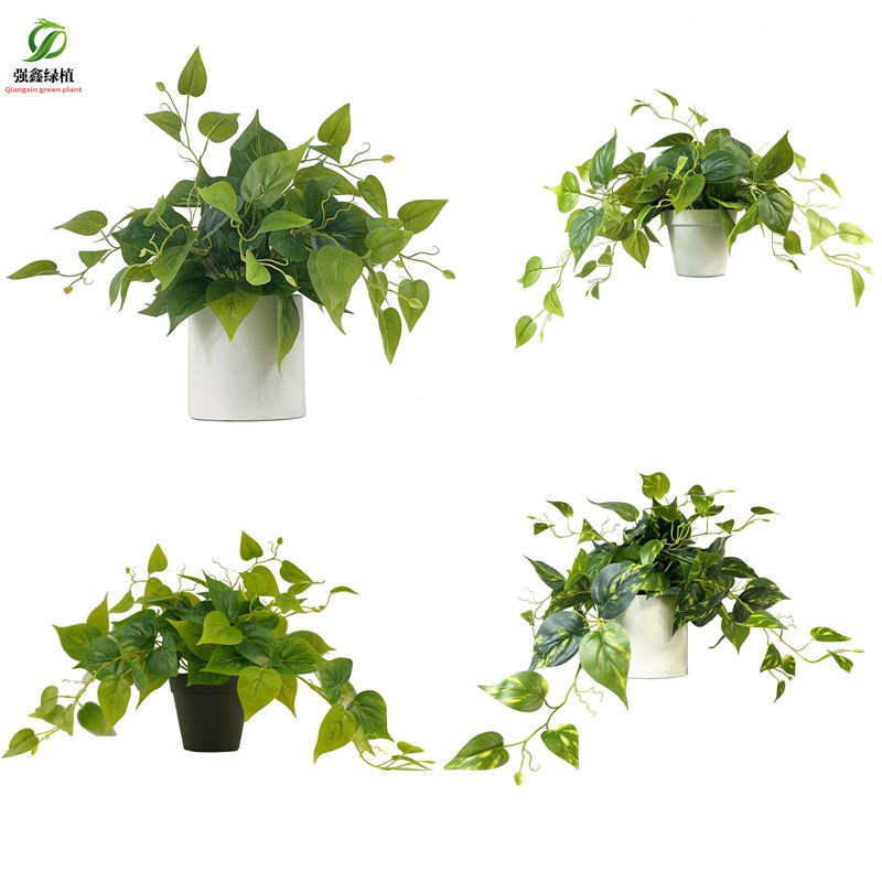 Simulation of green rose ivy green leaf hanging vine potted plastic flower green rose ceramic potted desktop floral ornaments Simulation of green rose ivy green leaf hanging vine potted plastic flower green rose ceramic potted desktop floral ornaments
