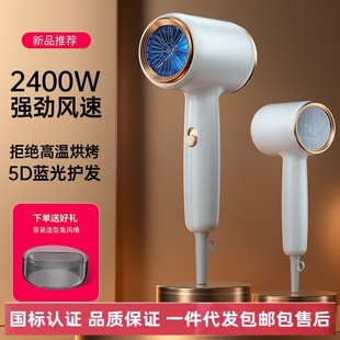 Hair Dryer Hair Salon Special High Power Low Noise Blue Light Negative Ion Household Hair Care Hair Dryer Mute No Hair Injury