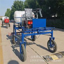 {ʽͲʹșC СҺșC rșC