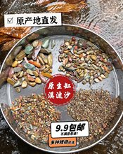 原生鱼缸造景底砂溪流沙水草龟缸雷龙鱼草南美缸装饰铺底沙河石