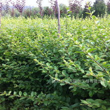 С~ŮؑͥԺeС^Gļ໨Gh~Ůؑ