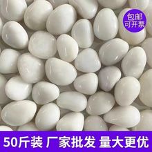 50����ɫ�Z��ʯͥԺ���@�·䁵��b�ʯ�^�����̨�쾰�껨ʯ