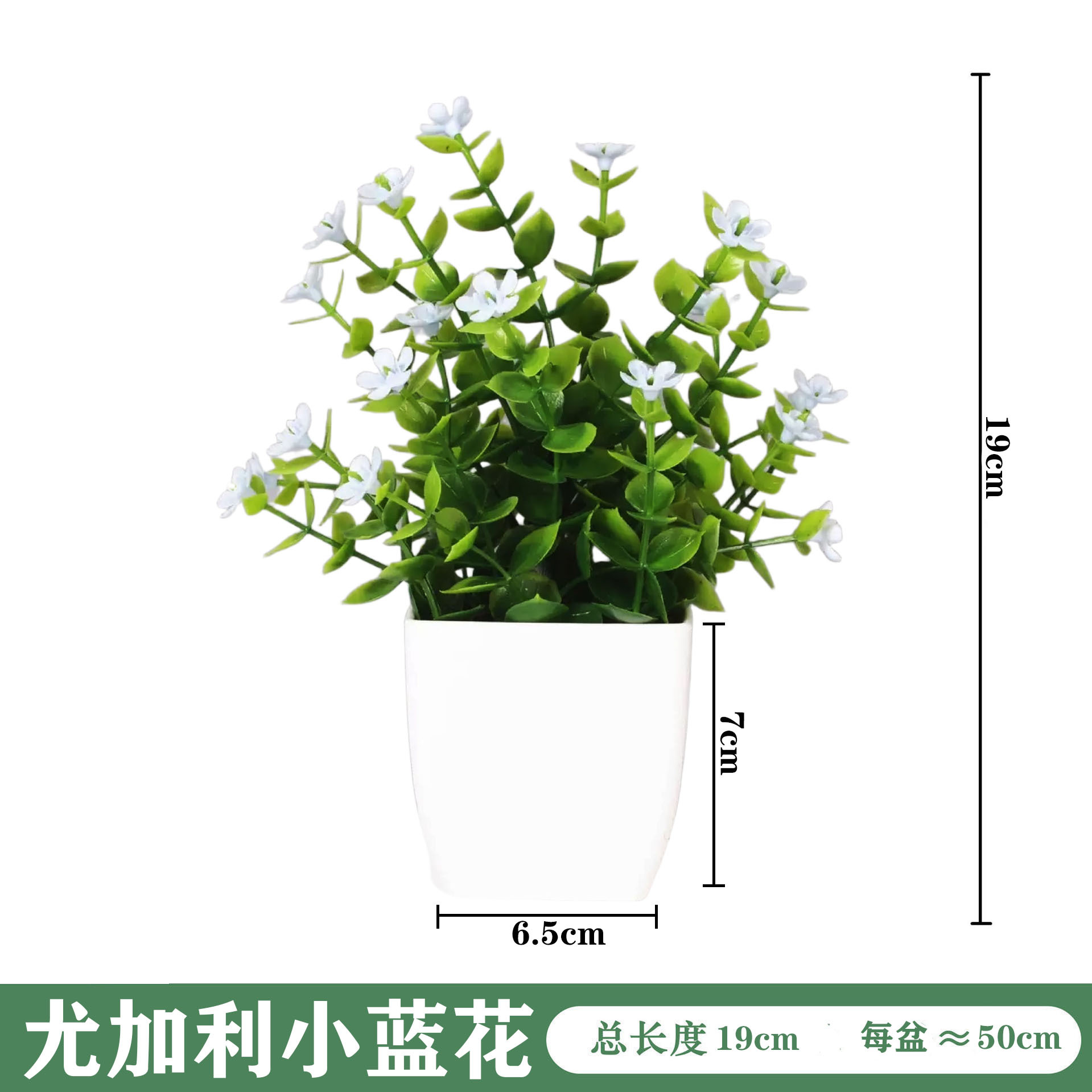 미니 화이트 화분 [유칼립투스 블루 플라워]