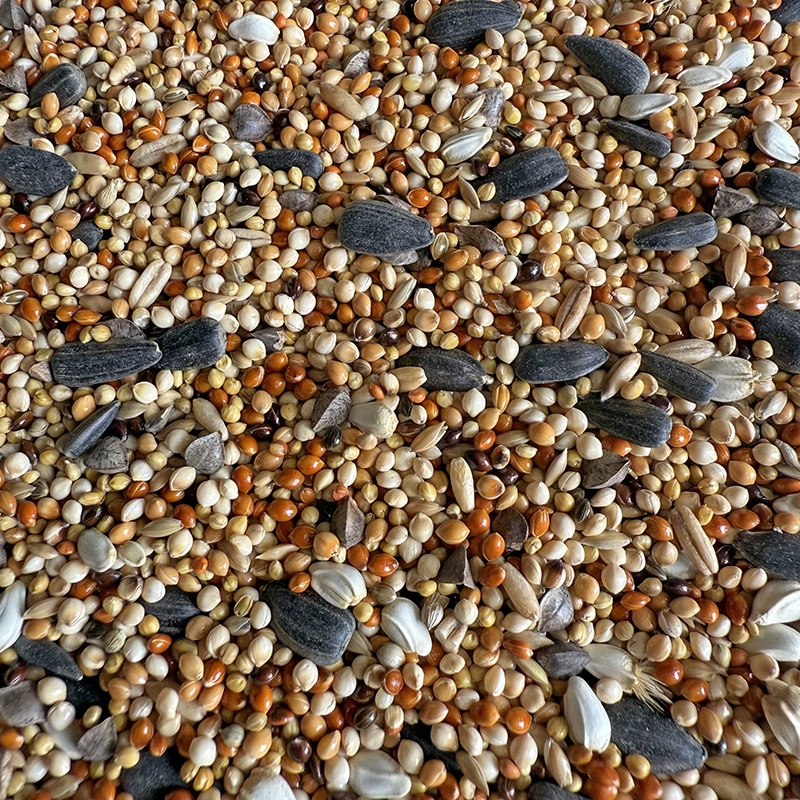 Попугай смешанный корм для птиц, такой как пион Сюаньфэн