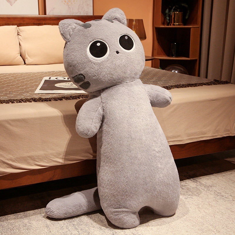 Gray cat