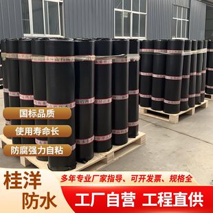 sbs��ˮ���ľ۰����ͺ�̥��플��÷�ˮ���ľ��ķ�ˮ�����͸�����