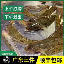 ���~���~�S���~���ǹ�ĸ��ĸ�~�r�����rɳ���k�ЋD�g��I�B�Ҝ��~